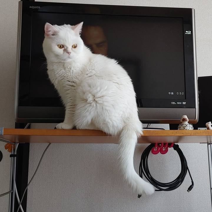 5302109c eeaf 4cde 927c 7f1b26749a61 1627471403136