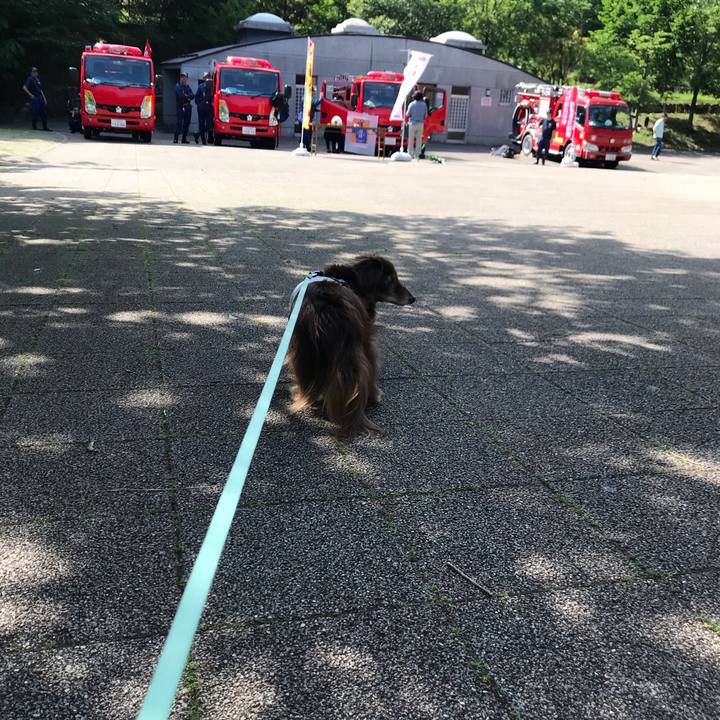 53024459 b33a 4e66 b206 f840a7dae48d 1558244756289