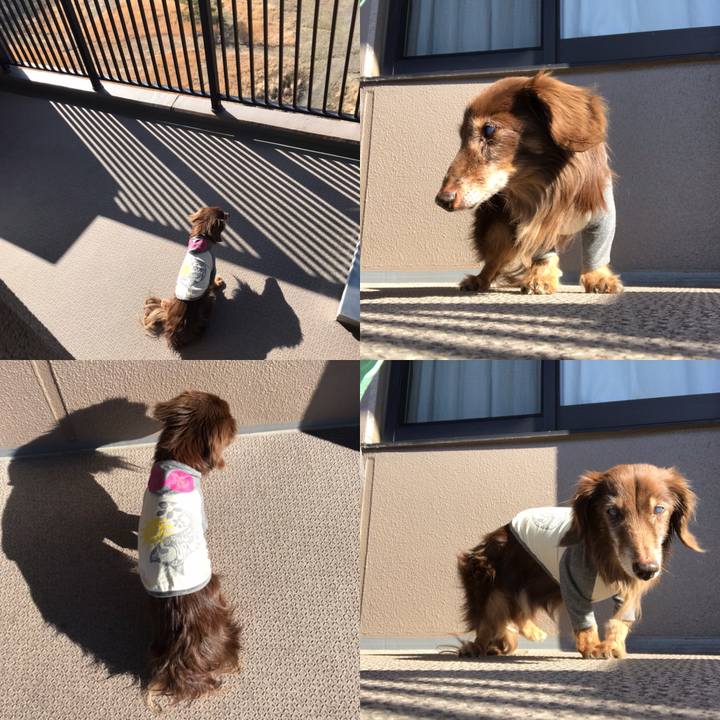 53025e0f fa0a 4b12 9491 de7a871464b5 1584487906344