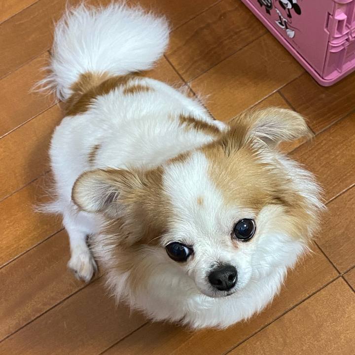 53026879 272f 4526 ada6 4389b8f2da07 1594823059995