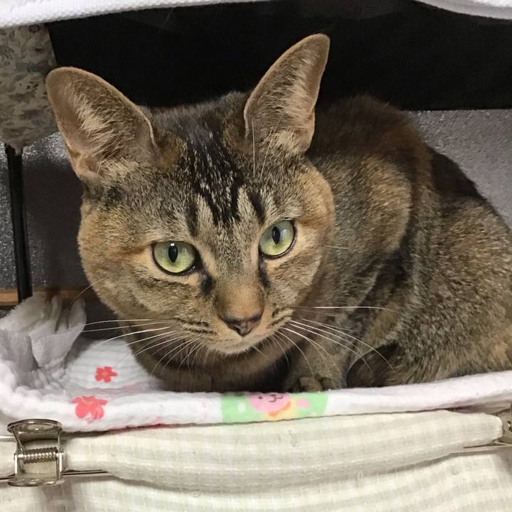 530289f3 d2a0 413e 8eaf fb9e846d6900 1642920516359