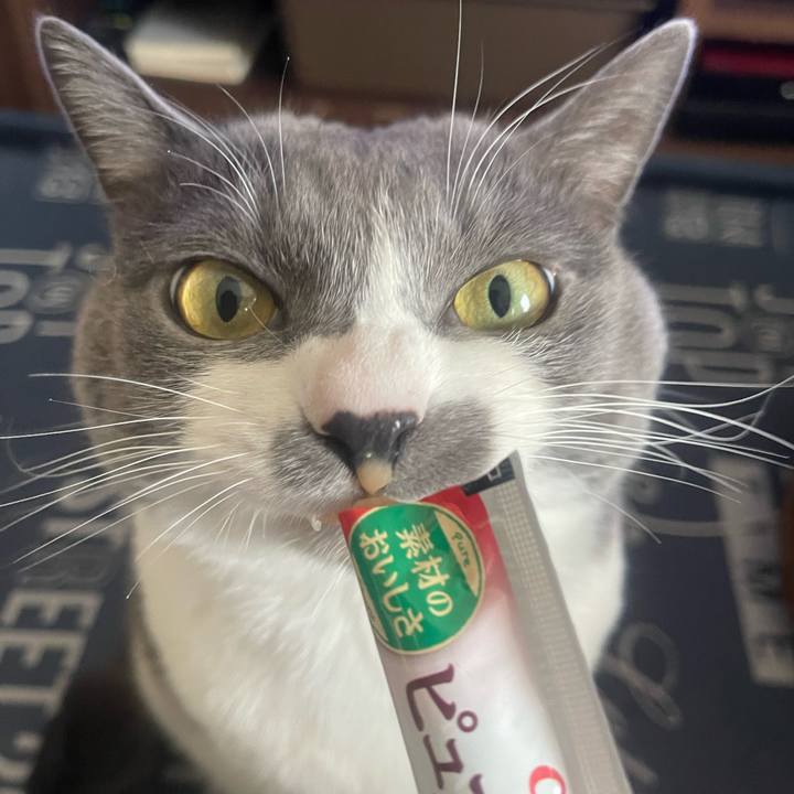 5302a510 3daa 48bf aabd 46ae93d91652 1708759586645