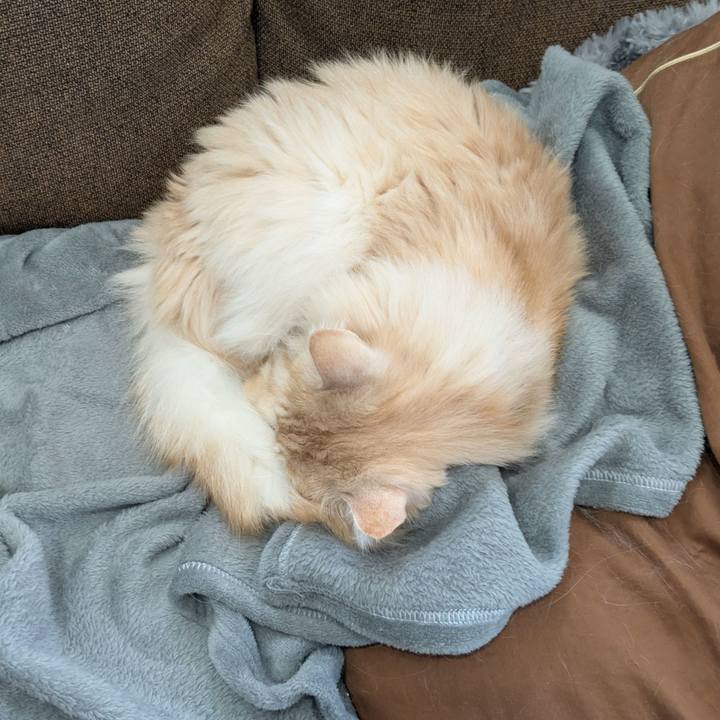 5302b93a 5287 47b5 ad2d caaf5c00c95e 1741918130843