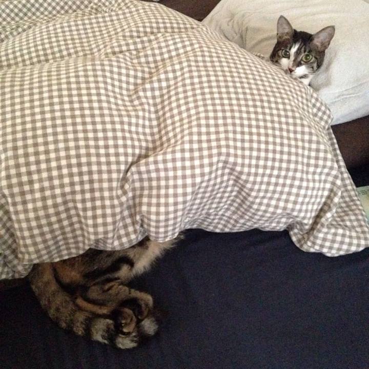 5302cba1 7cb5 45f9 a2b0 431efa040457 1511826369330