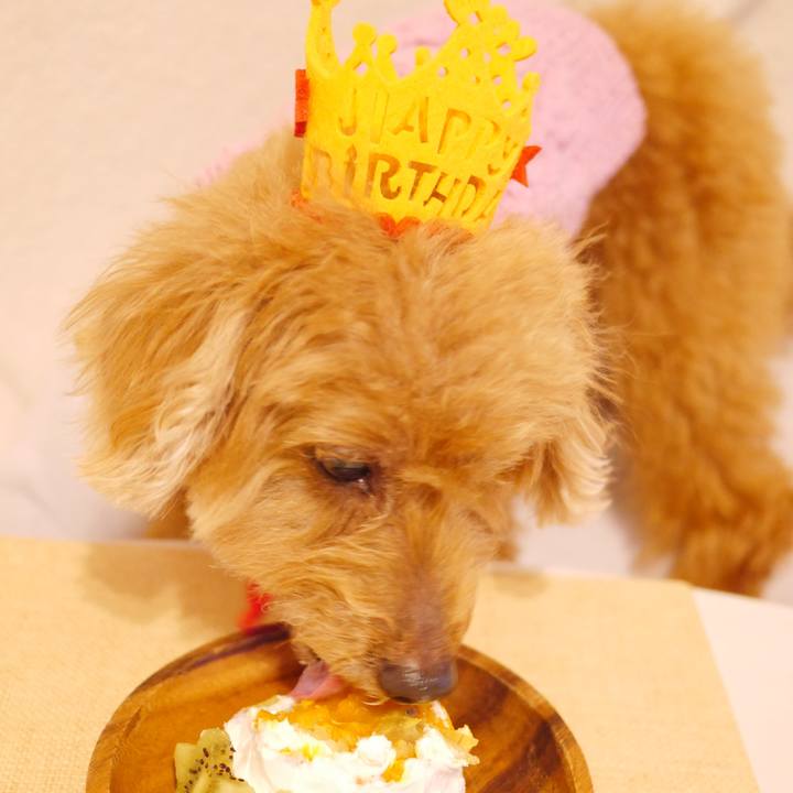 5302d6dd 2138 43f7 909d f10a8038e402 1577418457809