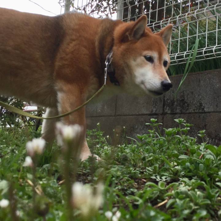 5302d731 4464 4ef2 82f4 5e19610eb824 1615086452809