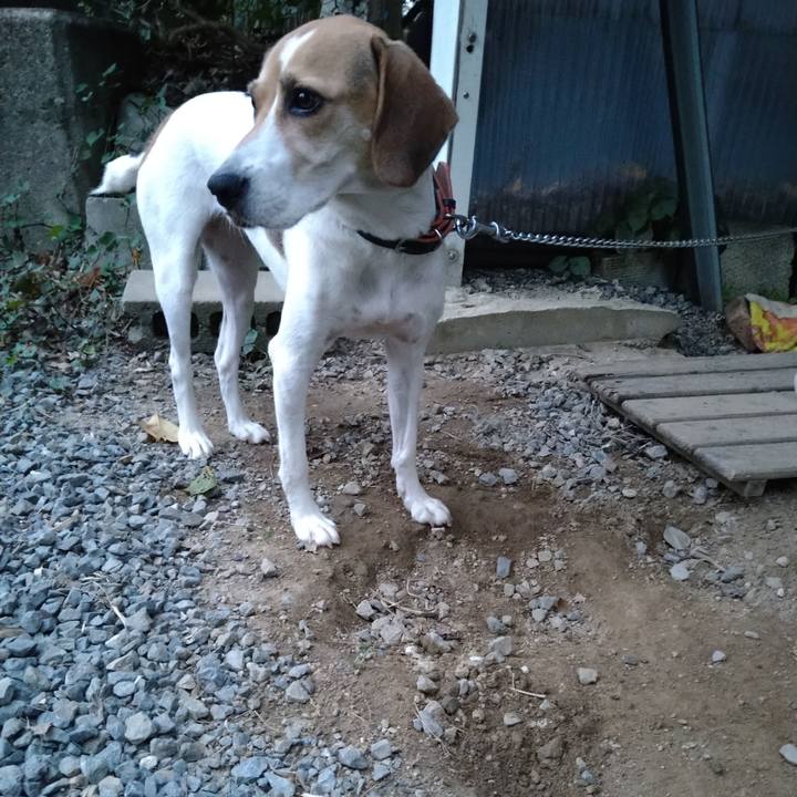 53030e21 7a04 4111 8b40 f21f0b4f22a5 1632563536352