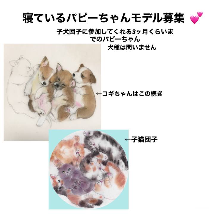 53031402 1e00 448b 8496 f5408652ad43 1610466751570