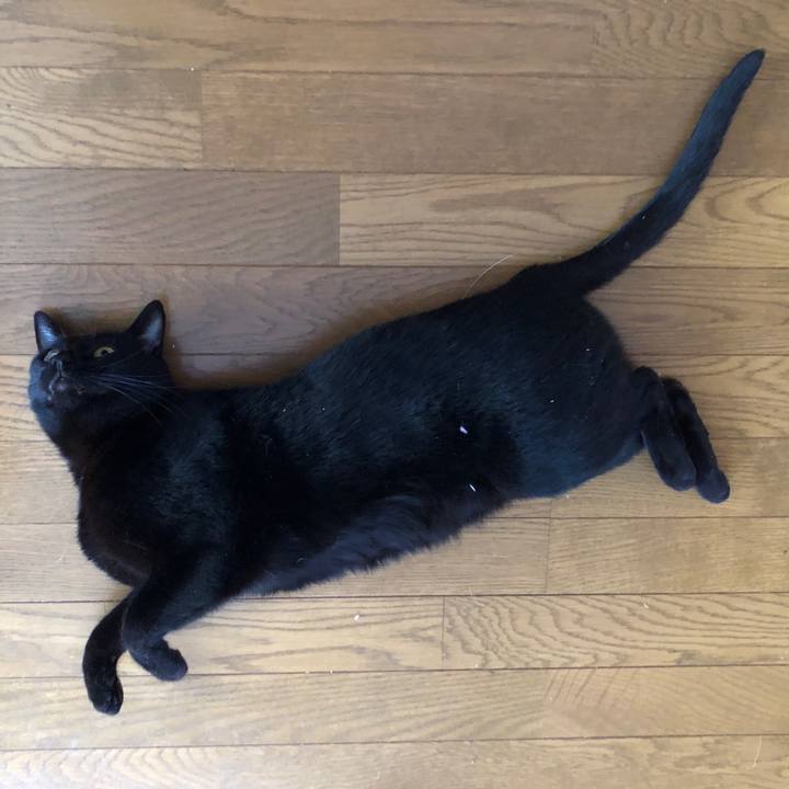 53033f4d 1b6d 4ab8 833b e43ec4363067 1705790643888