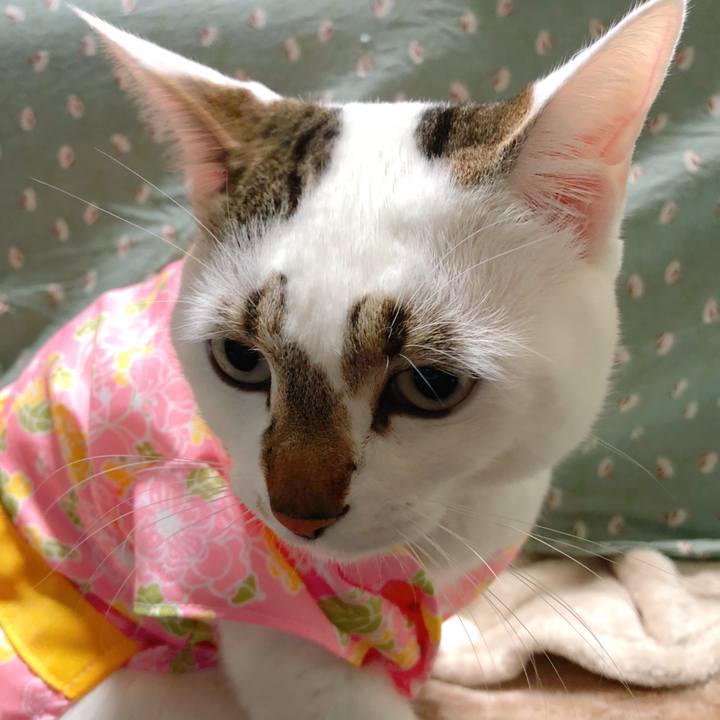 530352eb d918 406e 8214 5095143a8a37 1520681311501