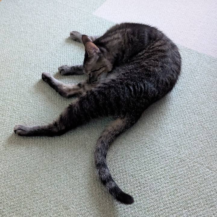 53039756 c08c 4953 94f8 634f3fe06368 1760940285121