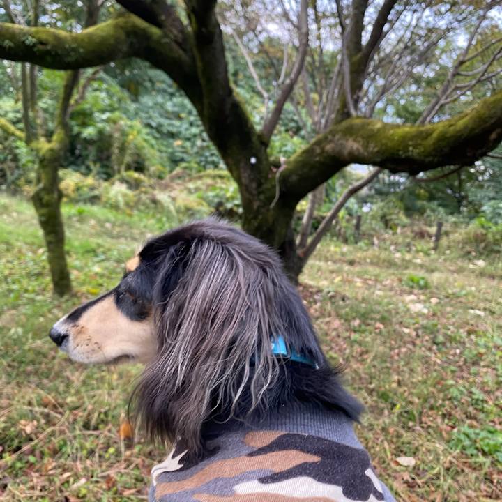 5303a4ed bf6b 446d a473 69cd0b4a7b4d 1699483760483