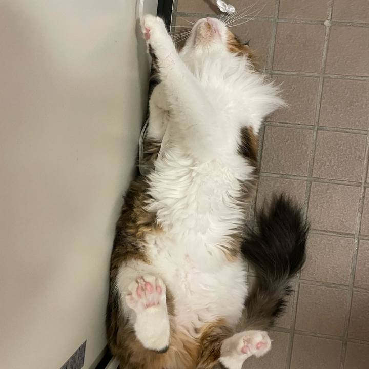 5303a947 50d0 4086 a844 2654e5c2d09b 1698781048591