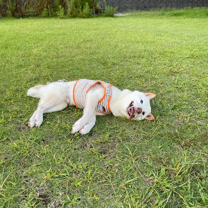 5303cb65 8286 4b85 a13a 99422297add8 1664884959706