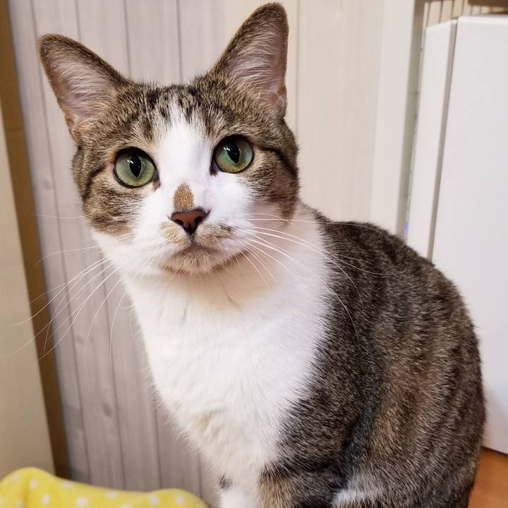 5303de8e 5d43 4732 a93a 31c314e0cb64 1556117058251