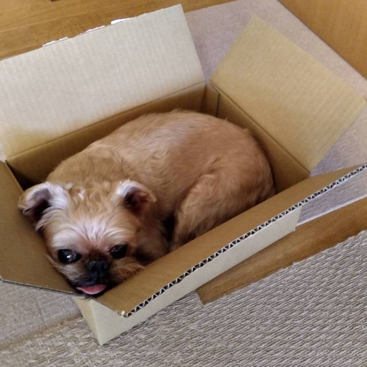 5304143b 3c08 4464 815c 3254a4eb463e 1633258793372