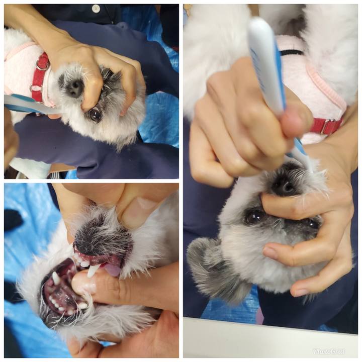 53041716 b055 4eed 84e0 4e09ed1561bf 1576747339749