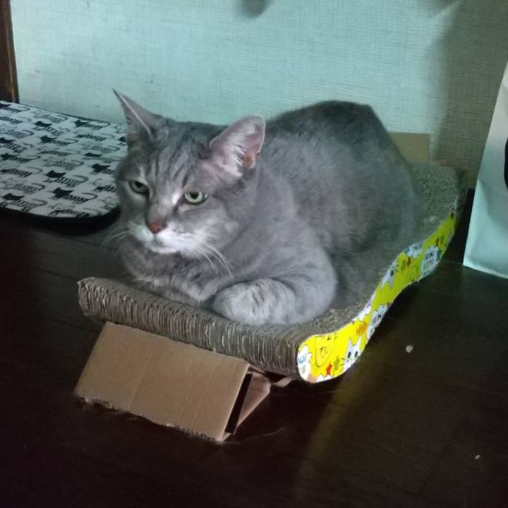 53043489 ed46 4cd8 ad1b 4d4ab7f5d9b0 1653551143409