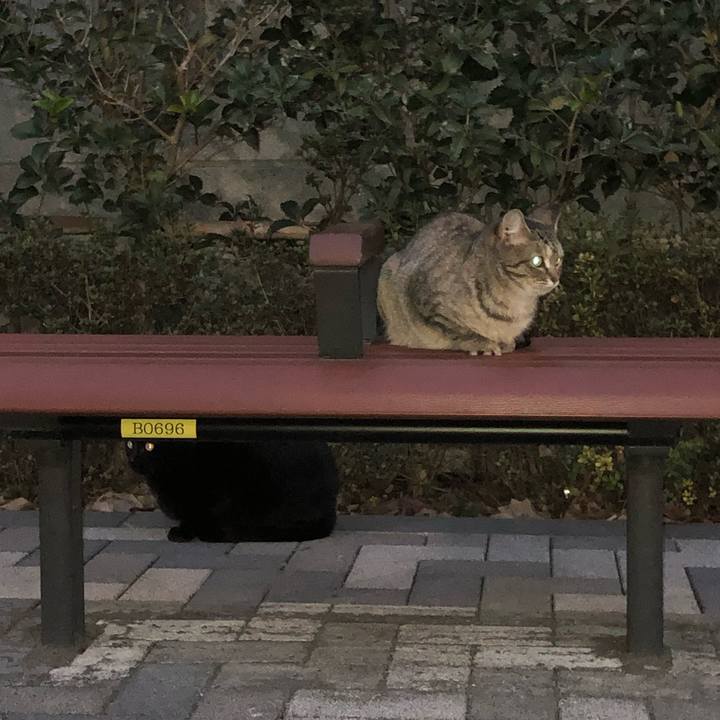 53044ff3 23be 4f40 a6ff 7b6f9bba9675 1545405992945