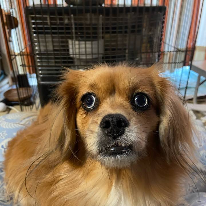 53045880 2175 446e 8423 f03ceaf2046a 1604527106988