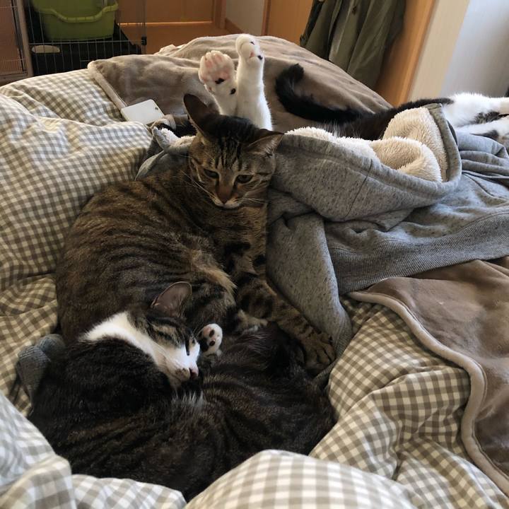 53048aa3 3c05 4958 9148 45f49f8e3974 1616224090975