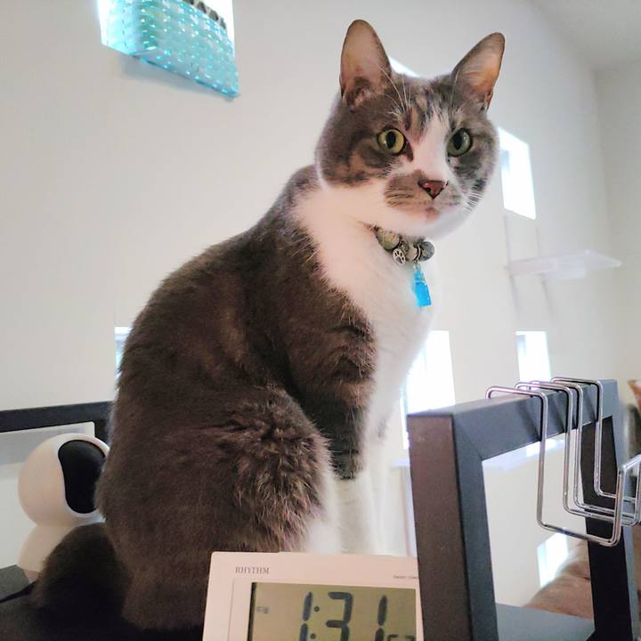 53049eda 549d 424d 823d d2b29be0a06f 1714539834718