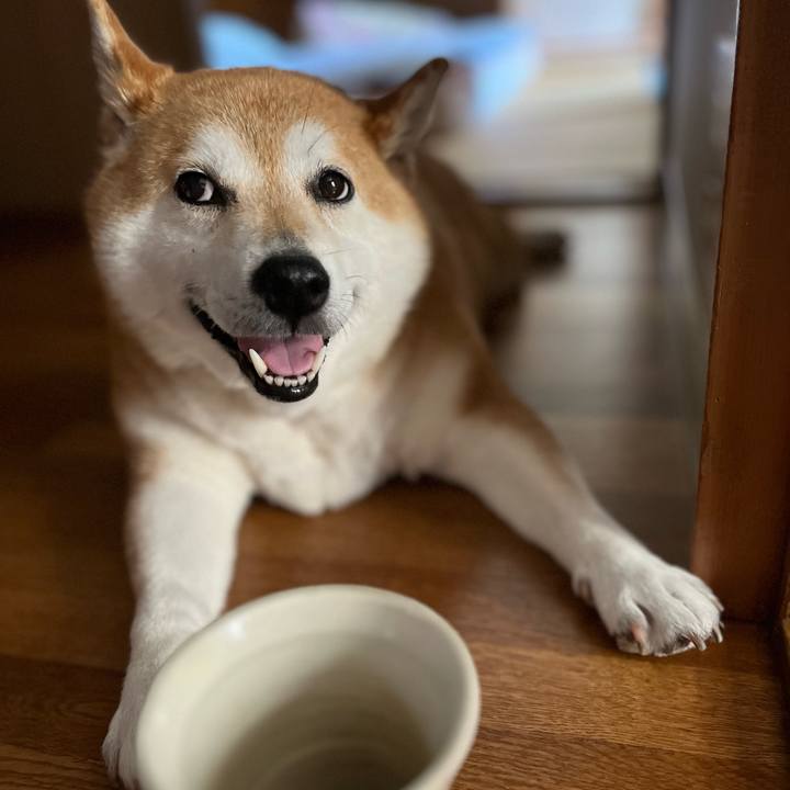 5304aa0e d7f1 49da a4bb b76c668ec711 1689561406516