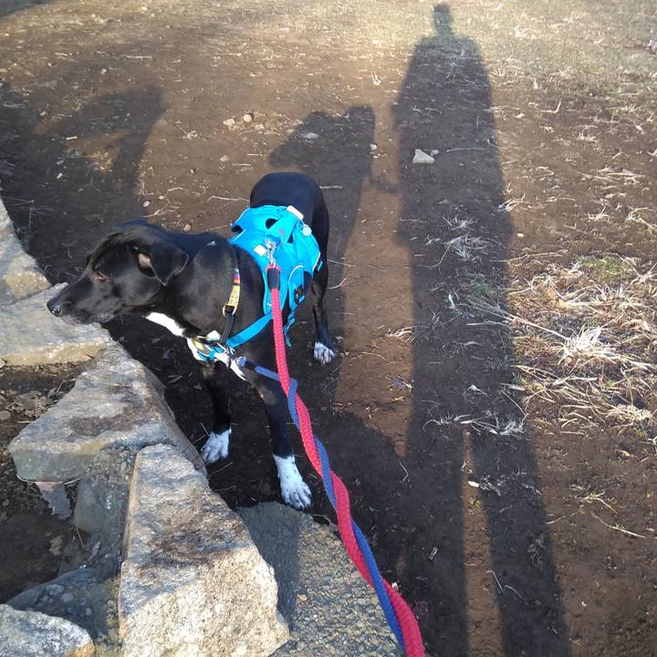 5304c8c5 4d9e 47a1 8484 f5b2718b9574 1613174799053