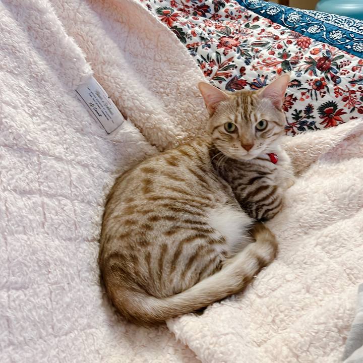 53056abd 0056 447b 9ffd c597f317e483 1650459452734