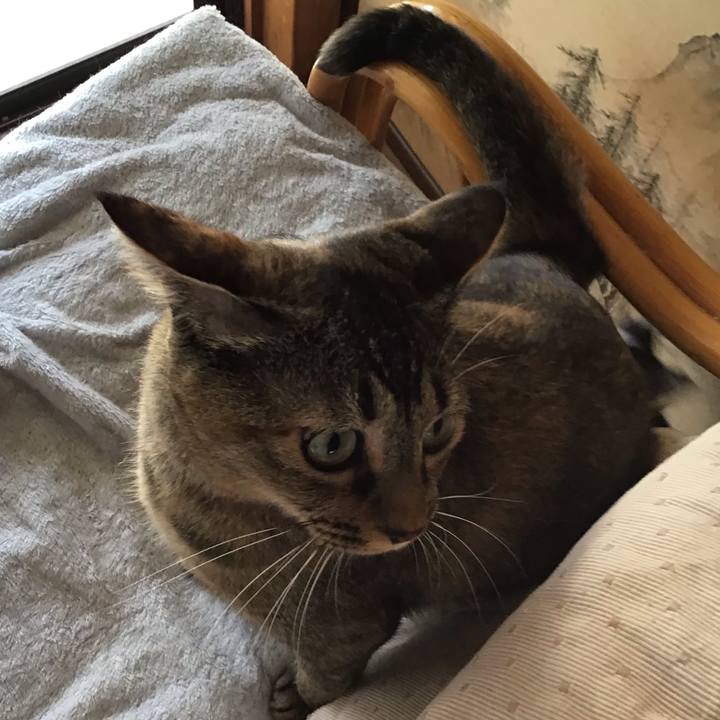 53056cd7 a7aa 4380 8665 644032b02bb8 1629191816402