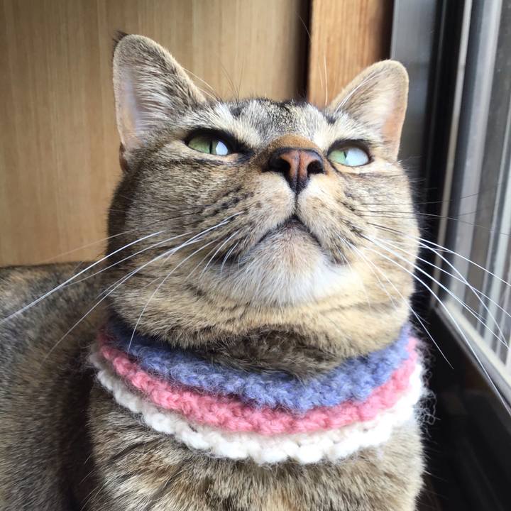 53057e95 9c10 482f a0cb 526d72e5ed5a 1619242408330