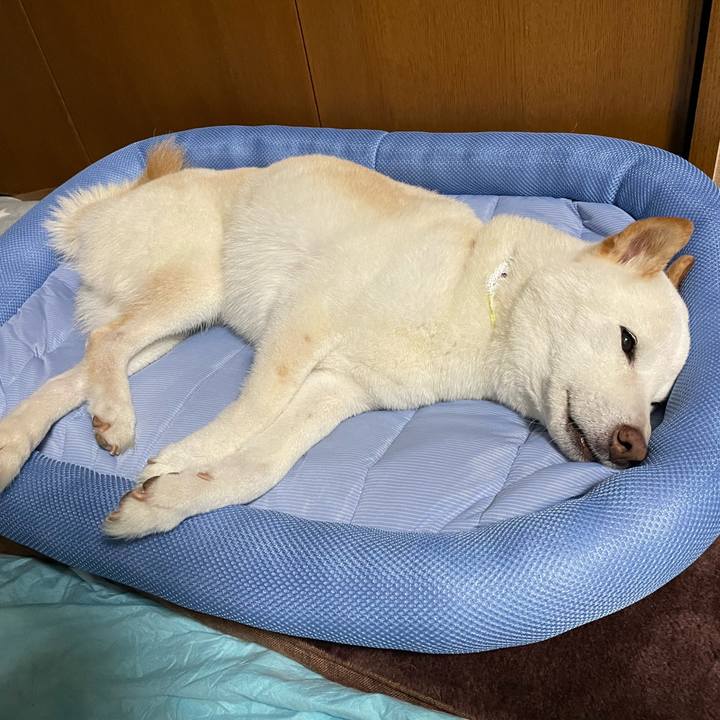 53059022 1f1d 47ab b189 ce3ba92eaa8a 1651158918744