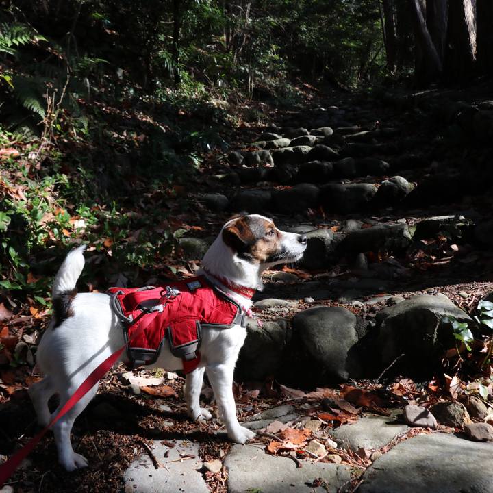 5305bf6b bc1f 4274 8ee9 03f6a032f251 1518325861946