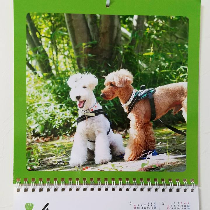 5305cbcc b4b1 48b0 86de 679ff9d32317 1522541009564