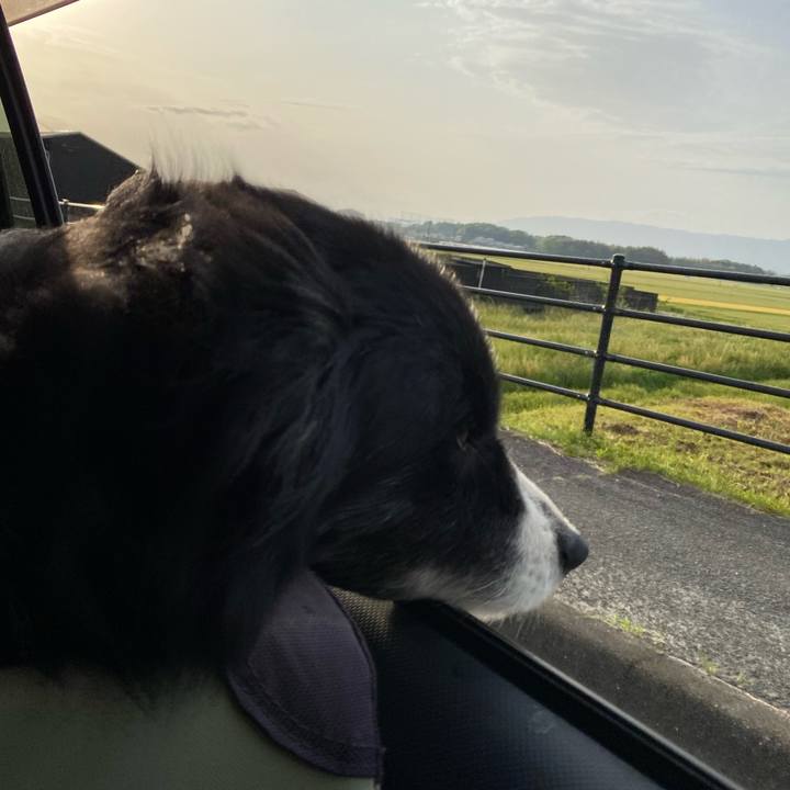 5305cd13 4982 420e a7d2 50015a16ca2b 1681769089873