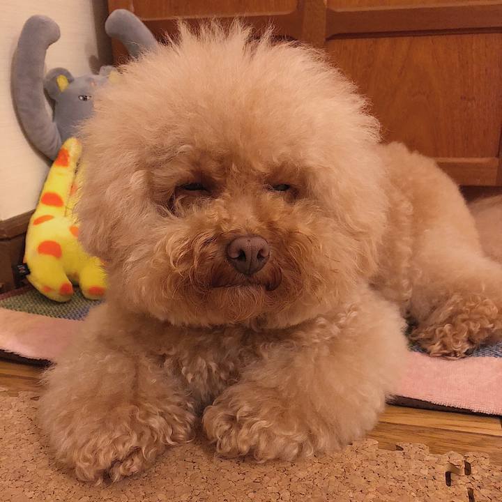 5305f00f d7ae 4c13 af66 fb08e787a693 1537868586591