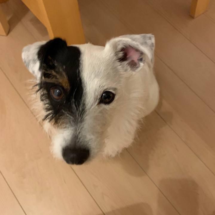 53065084 1135 4869 b34d 7f29c4361fa4 1555674348672