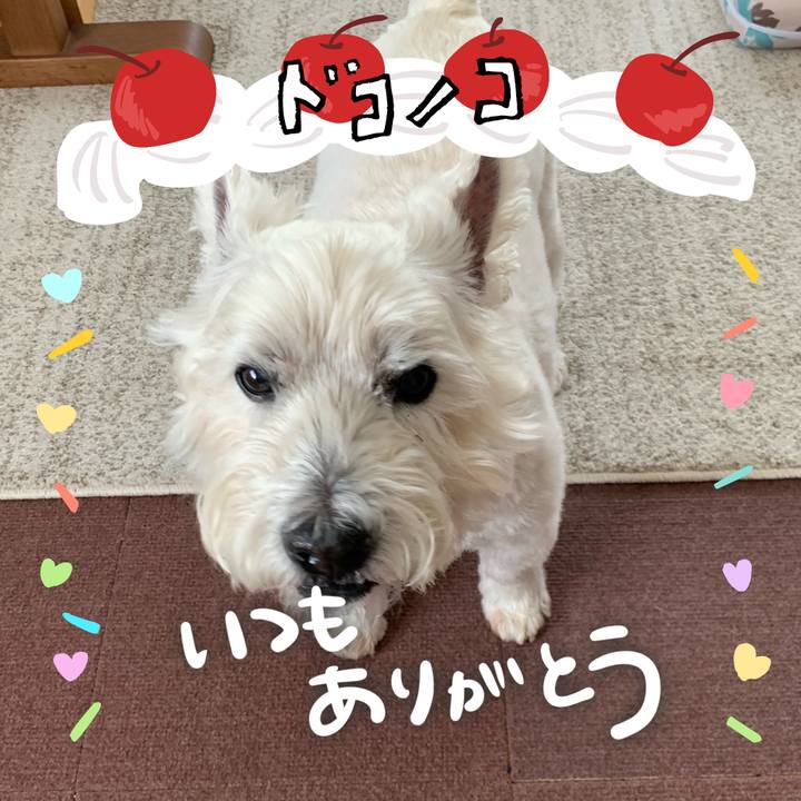 53065565 f78d 4448 870f 585bf9c81ca8 1686008660763