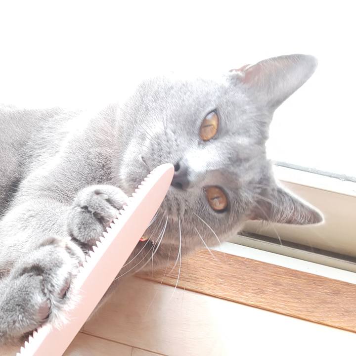 53067e22 eb40 4ca5 a1e8 085017eece67 1536713860539