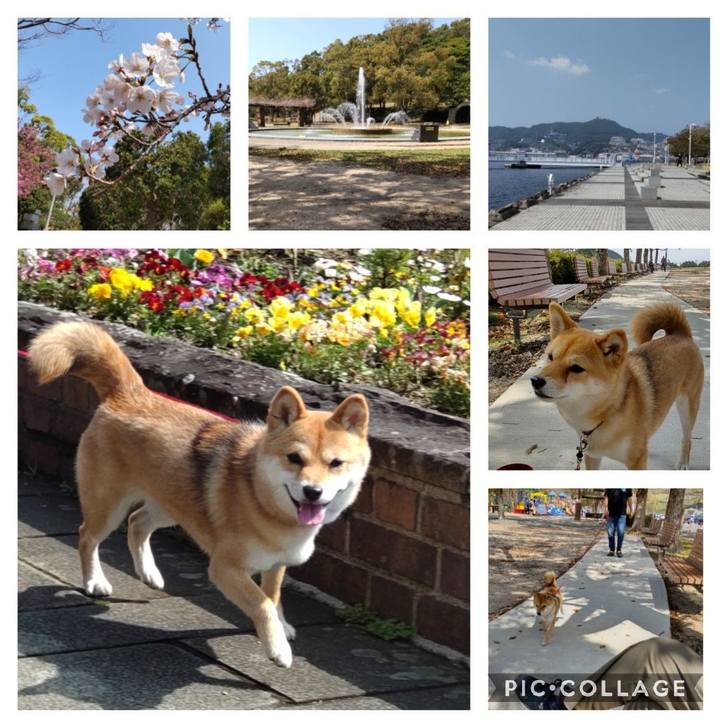 5306b227 9d04 4c1b a38e a561377d4904 1648246853100