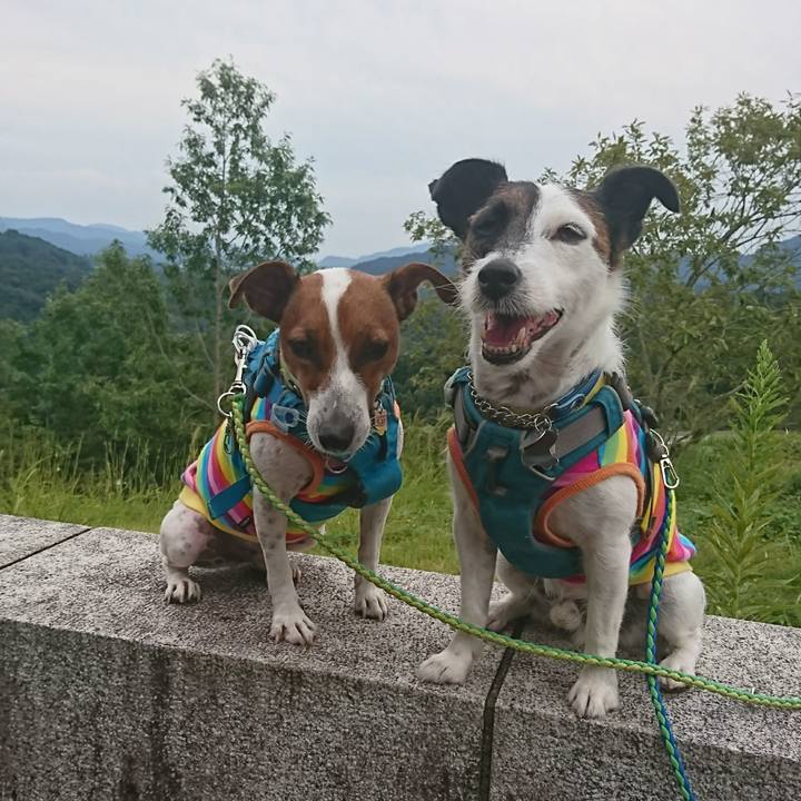 5306ed81 4c37 40b7 879f 3305bd1e3290 1600755164153