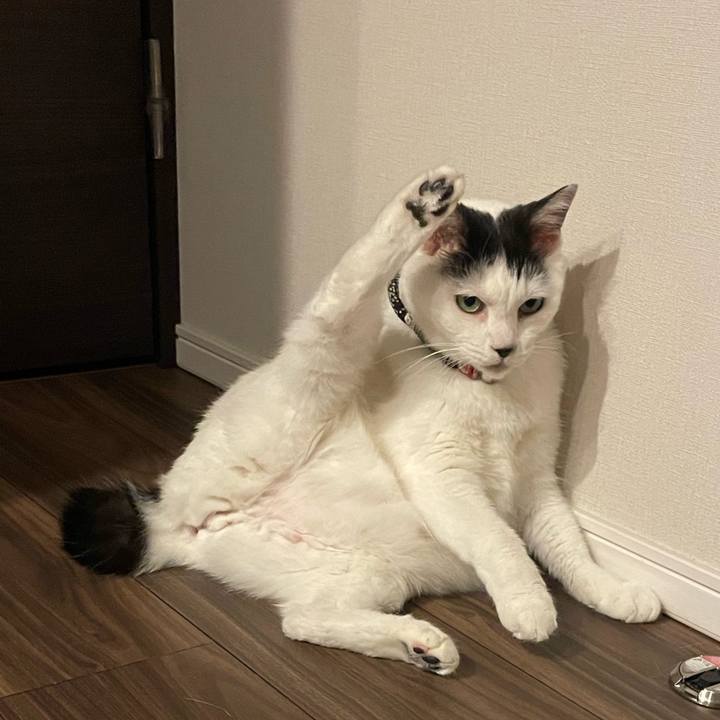 5307095a 8cdb 4d68 a33b efda831aca73 1731139933330