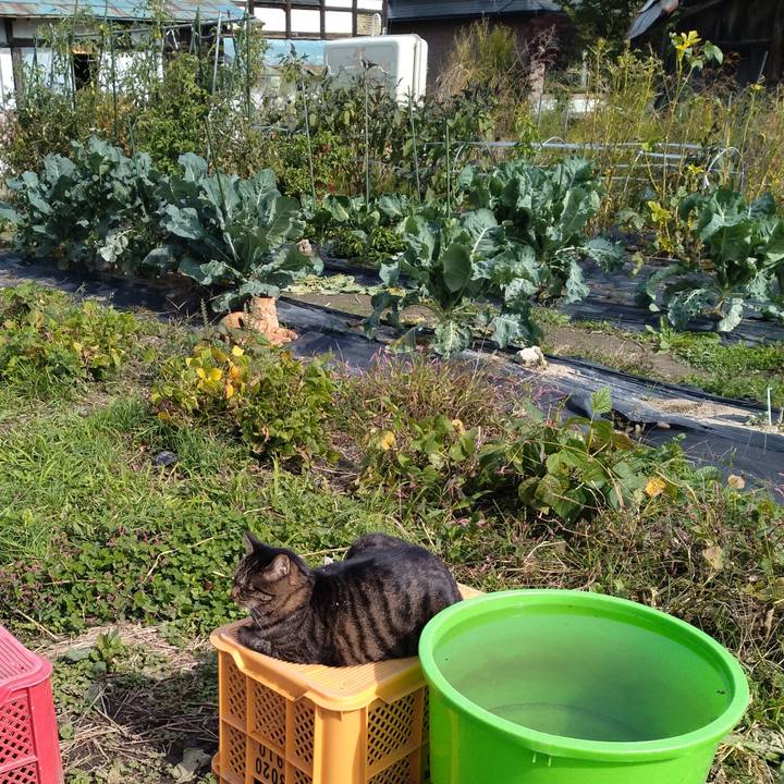 53072fcd 0c7d 4aea 820a 08030bcdc495 1697705285834