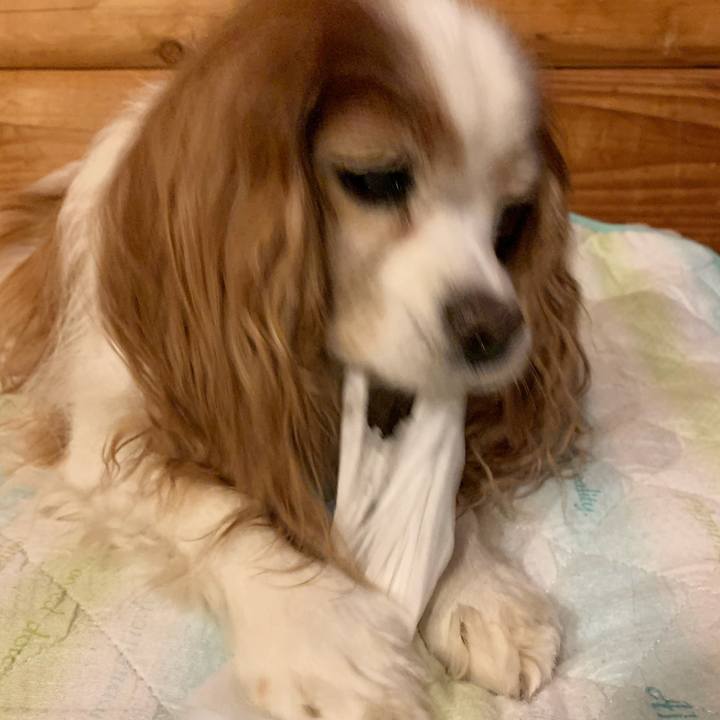 530737f3 fac3 47b7 b7d2 d7702d7c7834 1606993619642