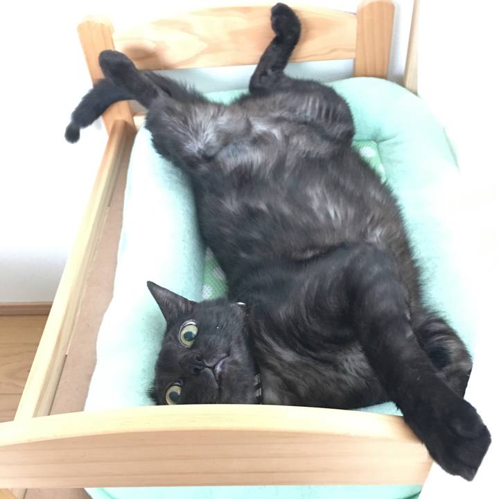 53073ffa 04d6 4b4c 9285 aceebbf92bec 1508030829572