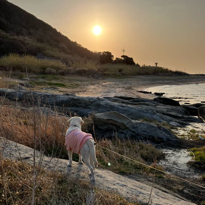 5307964b 151e 419d 96f8 d4199131048d 1678414676026