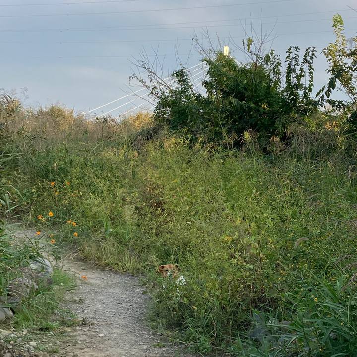 5307c840 0fe9 414b a835 74ea7da943c1 1698280566840