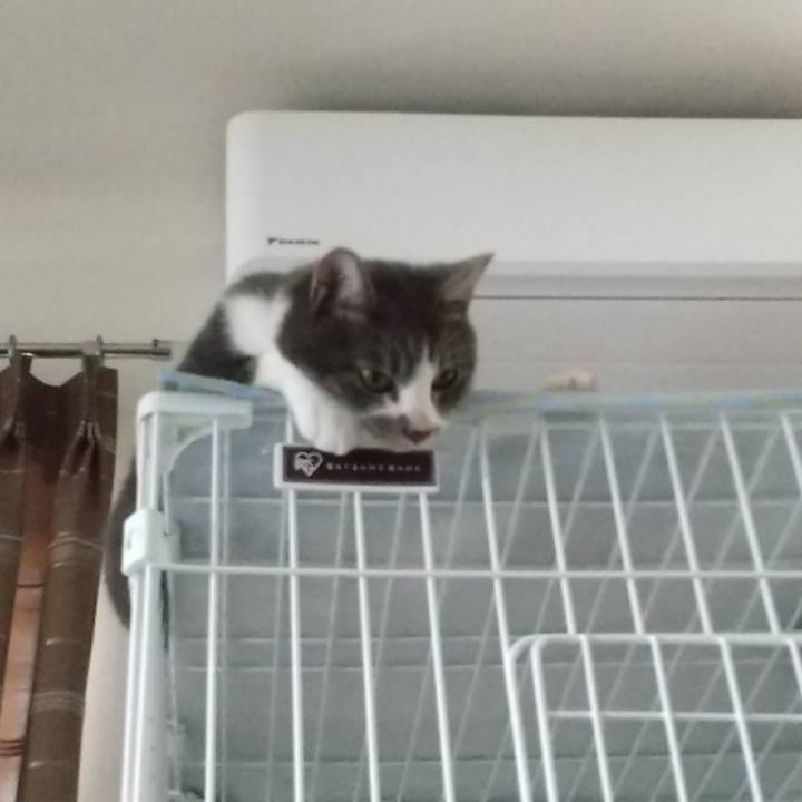 5307d097 f0ce 45a6 96a6 73e186497e7f 1600756638690