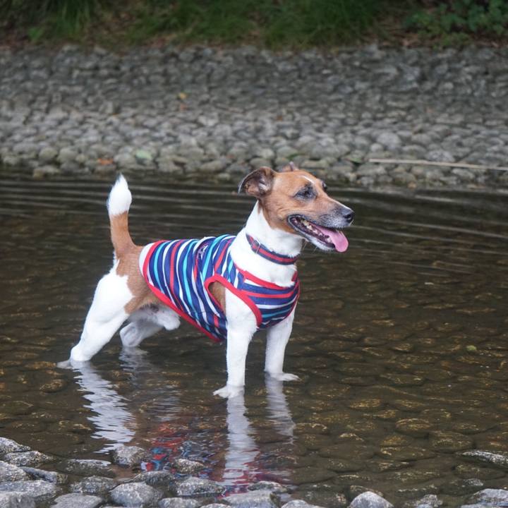 5307d8a3 0b4c 4012 899f f2fe89a97428 1532472015670