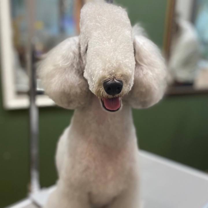 5307dd6e 93c3 4d5c a7dc 3ac84b6eeed2 1663494900404